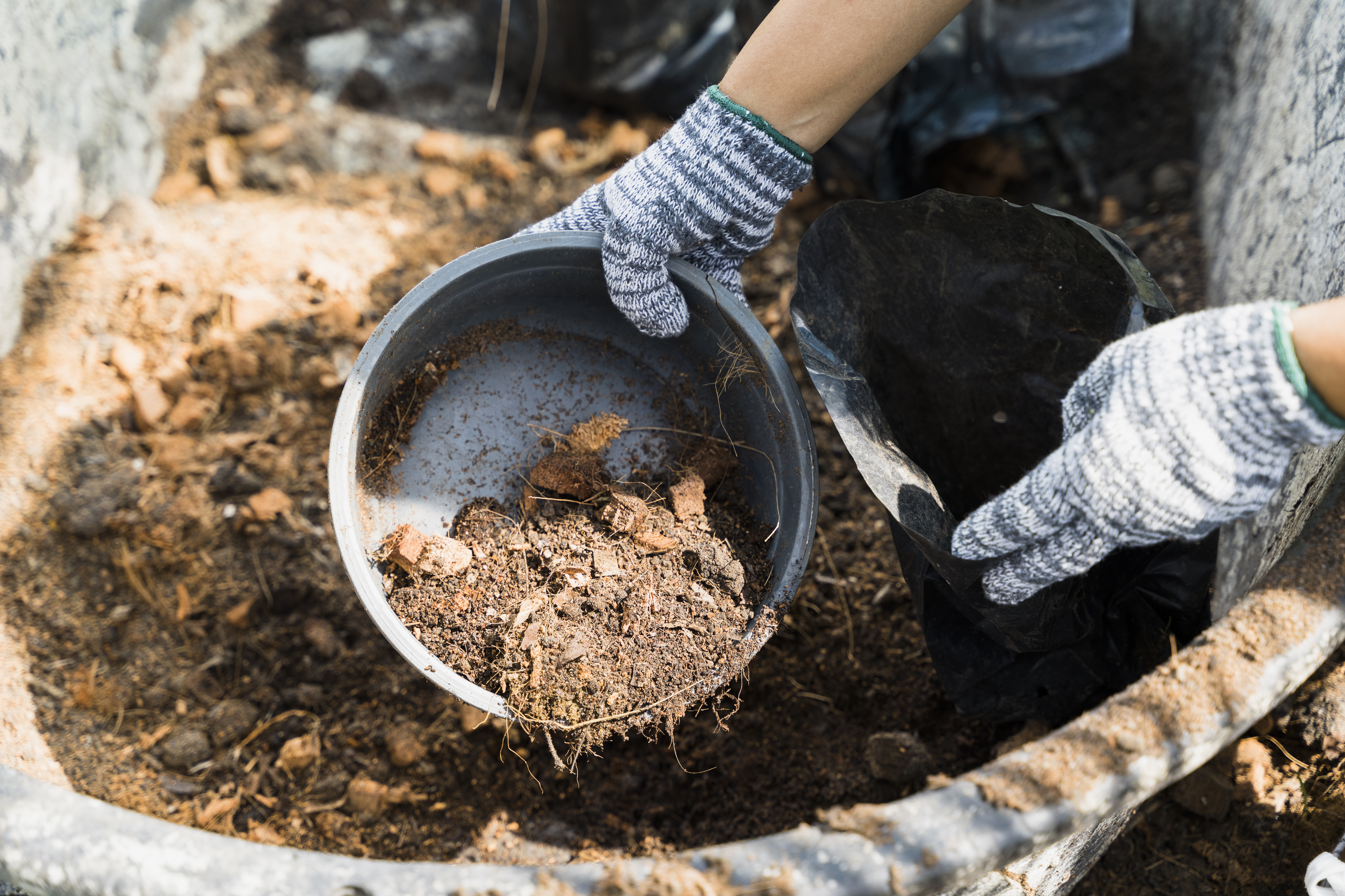 Soil Preparation & Feeding