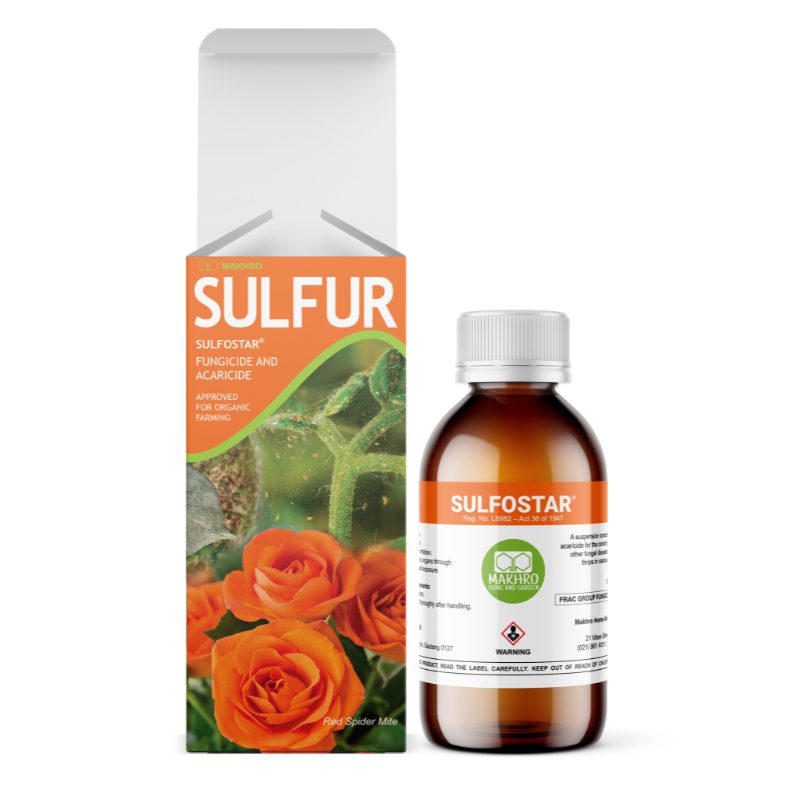 Sulfostar