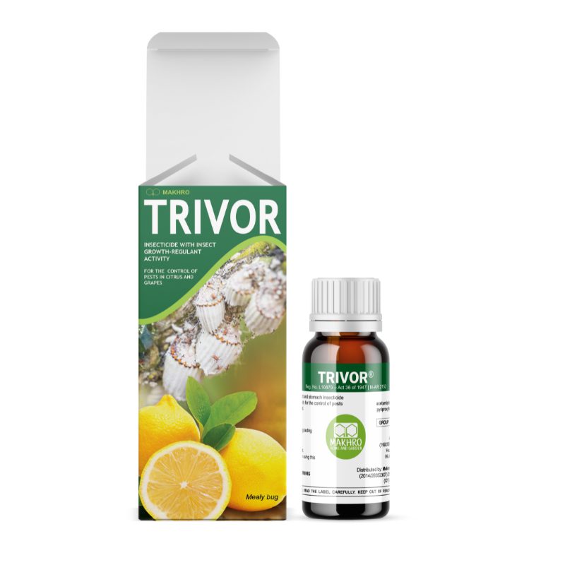 Trivor