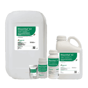 RhizoVital® 42