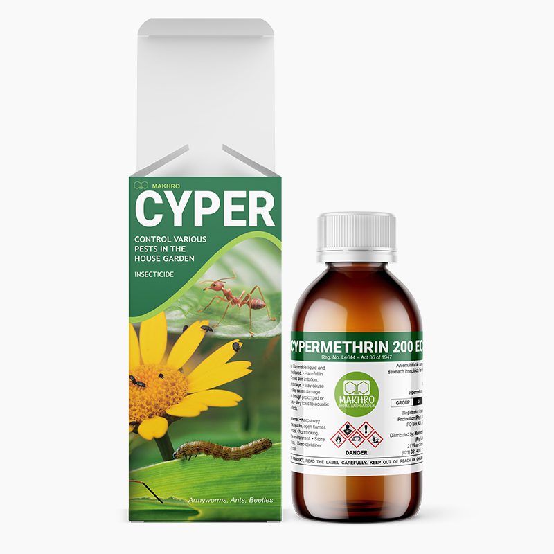 Cyper 200 EC