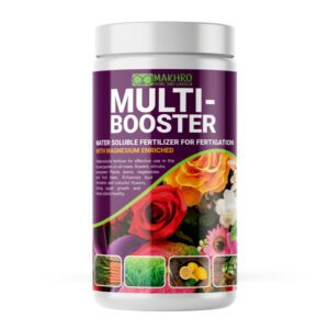 Multi-Booster