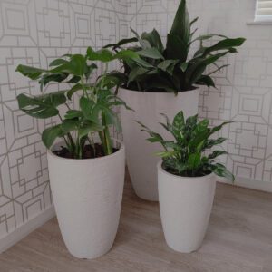 Modern Conic Planter