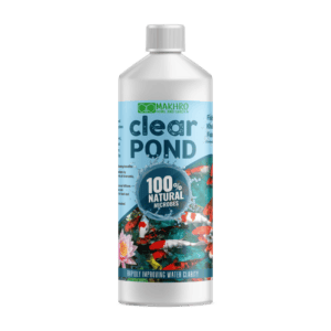 Clear Pond