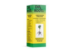 Dip & Root