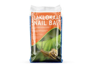 Snail Bait