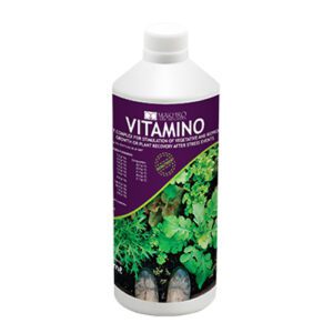 Vitamino